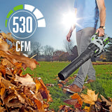 EGO POWER+ Cordless Trimmer and Blower Combo Kit 38.1cm